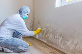 Best Black Mold Removal  in Savannah, GA